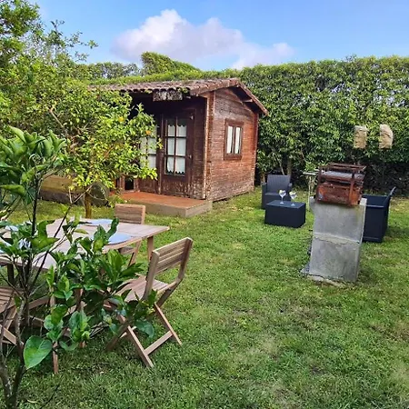 Кемпинг Parque De Campismo Rural Quinta Laranjeiras