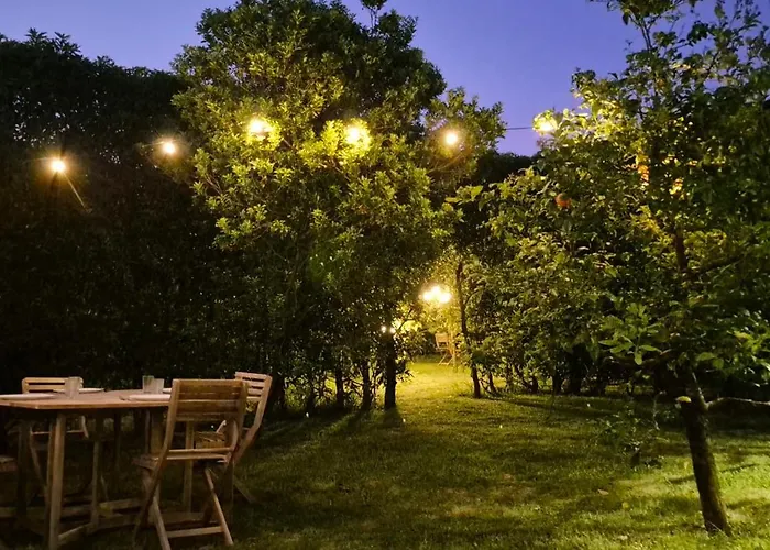 Parque De Campismo Rural Quinta Laranjeiras *