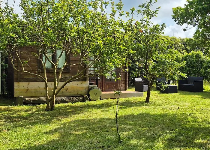 Parque De Campismo Rural Quinta Laranjeiras