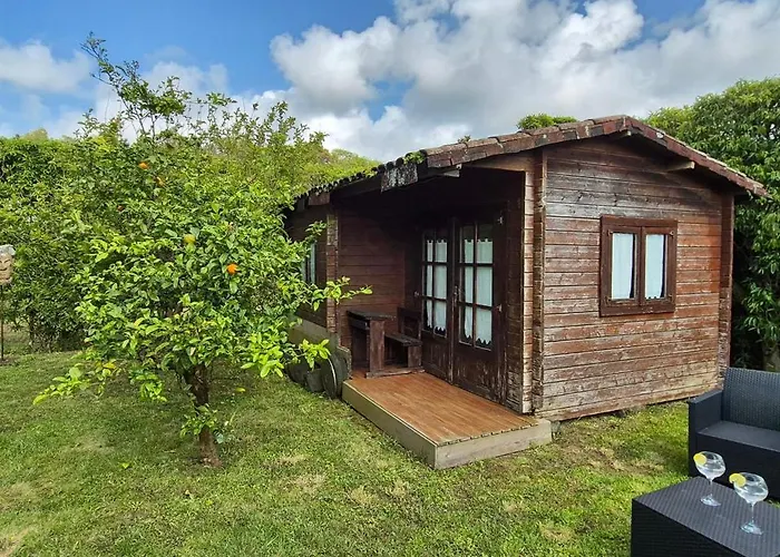 キャンプ場 Parque De Campismo Rural Quinta Laranjeiras