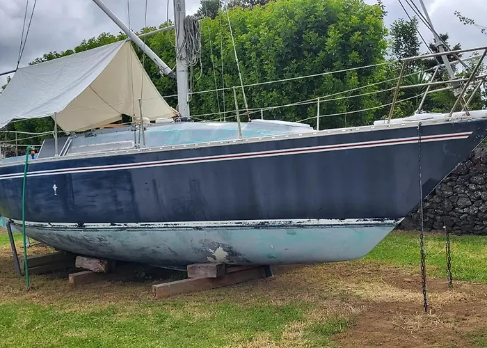 キャンプ場 Parque De Campismo Rural Quinta Laranjeiras *