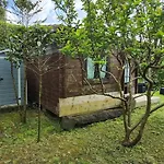 Kamp alanı Parque De Campismo Rural Quinta Laranjeiras *