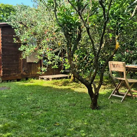 キャンプ場 Parque De Campismo Rural Quinta Laranjeiras *