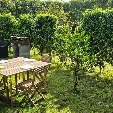 Parque De Campismo Rural Quinta Laranjeiras * リベイラ・グランデ