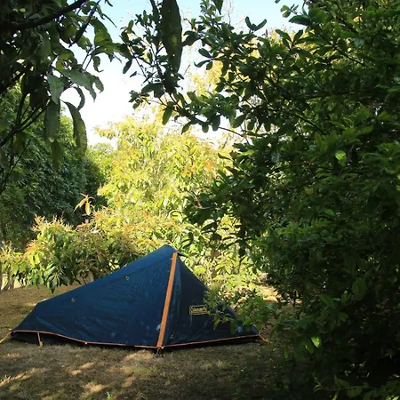 Parque De Campismo Rural Quinta Laranjeiras *